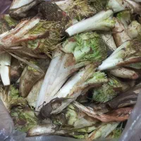 کنگر جوانرودم