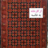 رزا لاکی ۷۰۰شانه