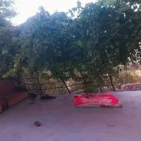 خانه ی اجاره ای|اجارهٔ خانه و ویلا|پاتاوه, |دیوار