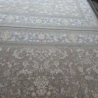 چند عدد فرش نو به قبمت کارخانه|فرش|بندرعباس, |دیوار
