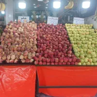 نیروی کاردر میوه فروشی (تهران)