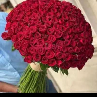 ۵۰۰بگیر ۲۴ ماه بگردونش