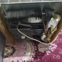 یخچال قدیمی چوبی|یخچال و فریزر|قدس, شهرقدس|دیوار