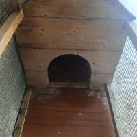 قفس حیوانات|لوازم جانبی حیوانات|قائم‌شهر, |دیوار