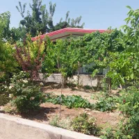 اجاره سوئیت ویلای روزانه وساعتی لطفآ تماس بگیرید|اجارهٔ کوتاه‌مدت آپارتمان و سوئیت|محلات, |دیوار