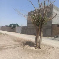 فروش دامداری یا استبل در قهنویه با اب برق دو نبش|فروش دفتر صنعتی، کشاورزی، تجاری|مبارکه, |دیوار