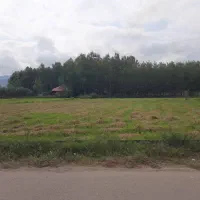 3600-متر-شالیزار-سنتی