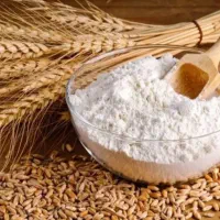 گندم هم برااردهم براکاشت بفروش میرسد