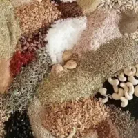 قاووت کرمانی تقویتی ومغذی|خوردنی و آشامیدنی|کرج, چمران|دیوار