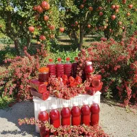 آب زرشک ، مربا زرشک تازه ، آب انار