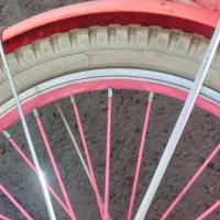 دوچرخه دخترانه|دوچرخه، اسکیت، اسکوتر|میانه, |دیوار