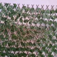 فنس برگی ریحانی رشته ای آکاردئون گرینوال دیوارسبز