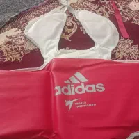 هوگو بیزه بند