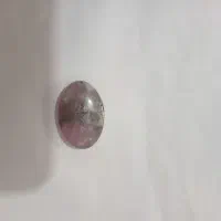 شجر|کلکسیون اشیاء عتیقه|زنجان, |دیوار