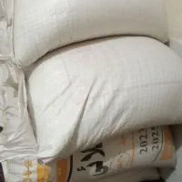 گندم درجه یک و دانه درشت آردی