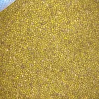 ماشک|لوازم جانبی حیوانات|دهدشت, |دیوار