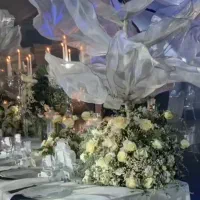 تشریفات عقد وعروسی ایفوریا