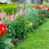 باغبانی حرفه ای|خدمات باغبانی و درختکاری|اهواز, بهارستان|دیوار