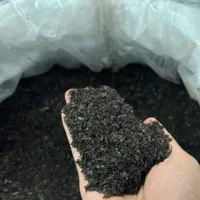 چای بهاره ۱۴۰۵