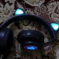 هدفون گربه ای.