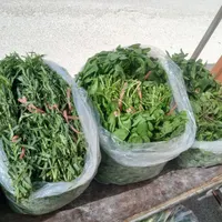 سبزی|خوردنی و آشامیدنی|اصفهان, خانه اصفهان|دیوار