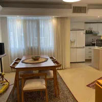 95 ونک ولیعصر پارک ساعی دو خوابه|فروش آپارتمان|تهران, آرژانتین|دیوار