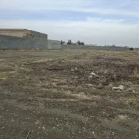 زمین-گاو-ترنا