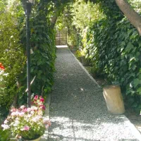 زمین باغ در پنج کیلومتری اردبیل