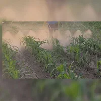 سمپاشی زمین کشاوزی با لانس|خدمات باغبانی و درختکاری|پارسآباد, |دیوار