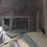 قفس پرنده