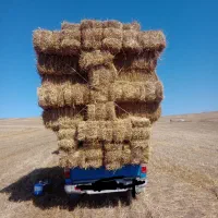 خریدوفروش پرس وکاه یونجه علف