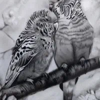 طراحی چهره