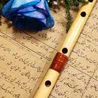 مداح‌خرم‌آباد|خدمات پذیرایی، مراسم|خرم‌آباد, |دیوار