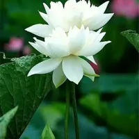 لطفا راهنمایی کنید