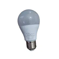 لامپ سایز۱۰