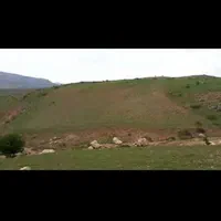 10000هزار متر زمین کشاورزی سند دار|فروش زمین و ملک کلنگی|دیلمان, |دیوار