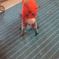 اسب بازی