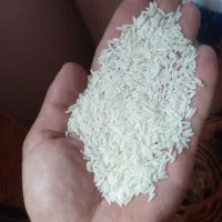 فروش برنج طارم هاشمی درجه۱ ونیم دانه طارم هاشمی|خوردنی و آشامیدنی|قائم‌شهر, |دیوار