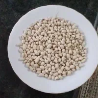 لوبیا چشم بلبلی اعلا ۴۷۰ کیلو