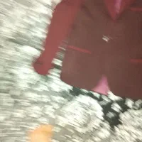 کت‌بچه‌گانه