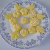 کره های حیوانی