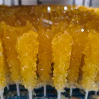 استخدام نیرو تولیدی