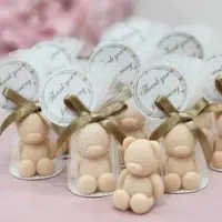 گیفت تعیین جنسیت