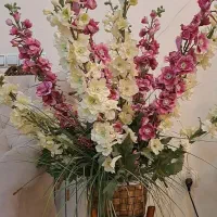 گل‌ها، سفیران طبیعت