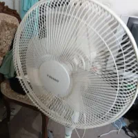 پنگه  سونیا