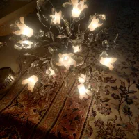 لوستر بسیار زیبا|لوستر و چراغ آویز|زنجان, |دیوار