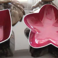 میوه خوری شیرینی خوری پاسماوری