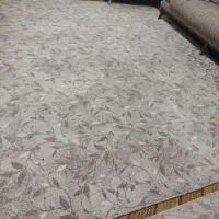 پالاز|فرش|زاهدان, |دیوار