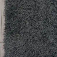 فرش ۶ متری|فرش|ساری, |دیوار