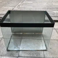آکواریوم شرکتی شیشه خم با در